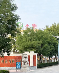 眾升科技高壓無功補償柜 --助力山東福洋生物科技股份有限公司,高效用電、改善用電質(zhì)量！